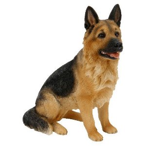 Choosing A Dog Training Course